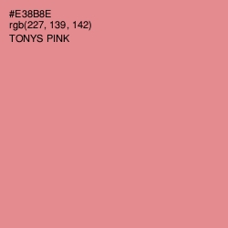 #E38B8E - Tonys Pink Color Image